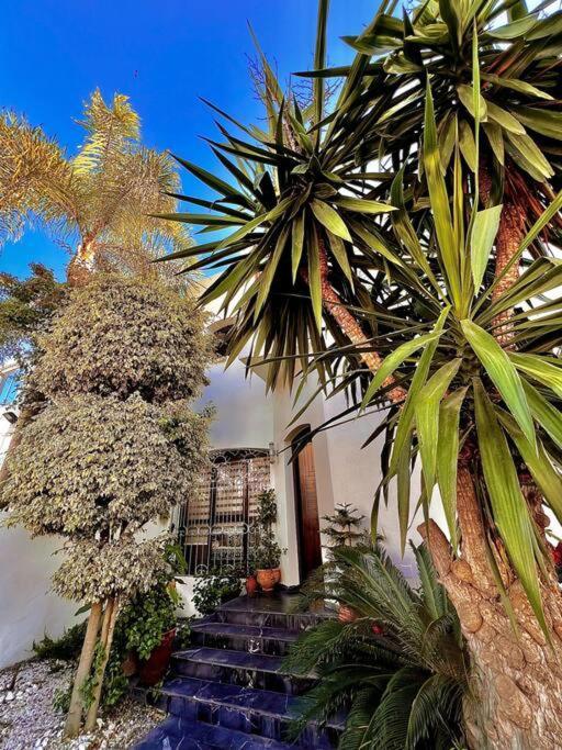 Nassali - Luxurious Beachfront With Private Pool Villa *